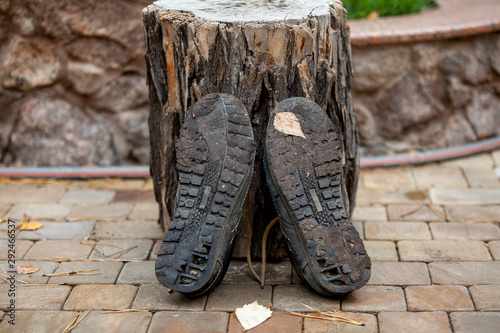 Two old shoes lean on stump with sole up