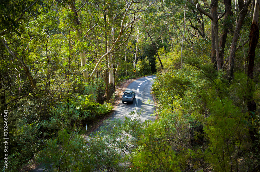 Aerial view of car driving down mountain road in rainforest