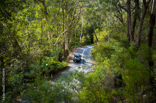 Aerial view of car driving down mountain road in rainforest