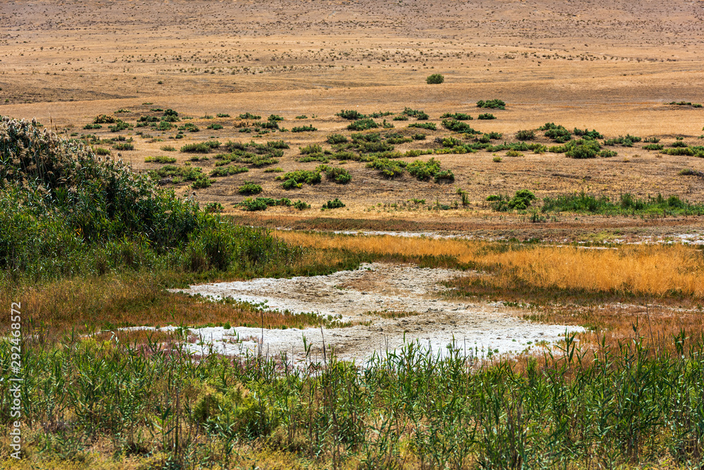 Dried lake overgrown with reeds in the highlands