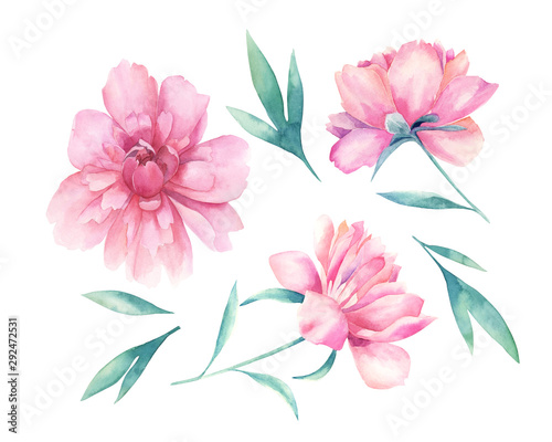 Watercolor floral set. Hand drawn illustration with peonies.