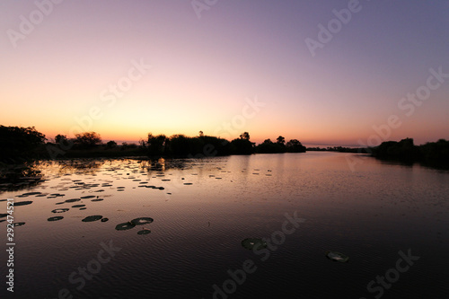 Beautiful wetlands sunset
