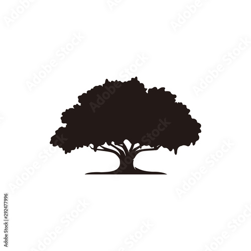 Oak tree icon vector