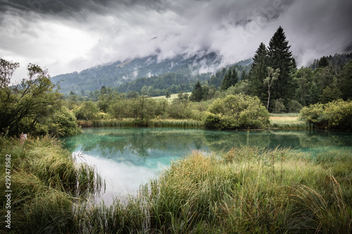 beautiful nature reserve lake Zelenci in summer time, Slovenia © Barbara C