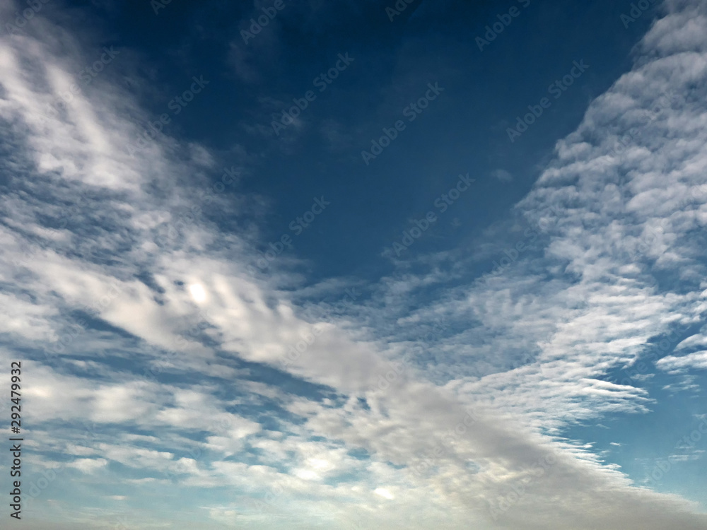 Fototapeta premium Bird shape white clouds on a dark blue sky.