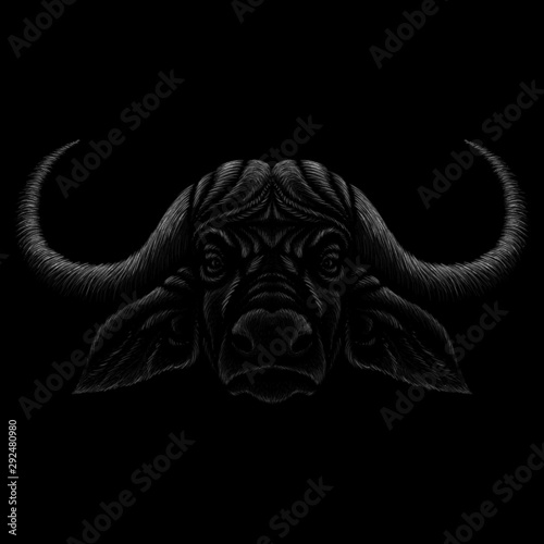 The Vector logo Cape buffalo for tattoo or T-shirt design or outwear.  Cute print style Cape buffalo background. This drawing would be nice to make on the black fabric or canvas.