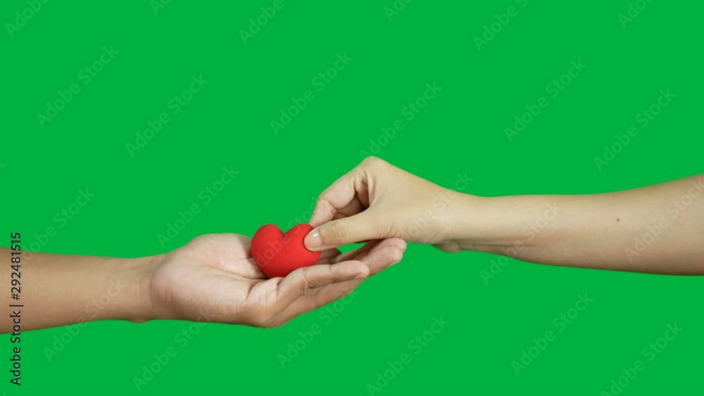 4K. volunteer hand giving red heart on the other hand for donation  isolated on chroma key green screen