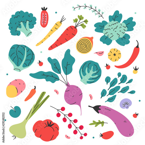 Vegetables collection. Potato, cabbage, carrot, pepper, chili, beet, tomato and eggplant. Hand drawn flat doodle colored vector illustrations. Healthy diet food set. Bundle of vegetarian products menu