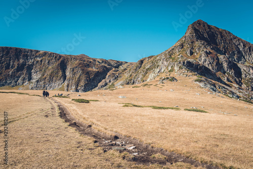 beautiful mountain scenery in the fall