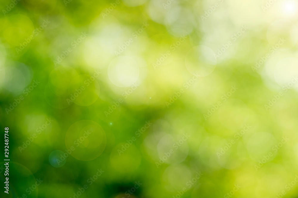 Obraz premium Green bokeh on nature abstract blur background green bokeh from tree