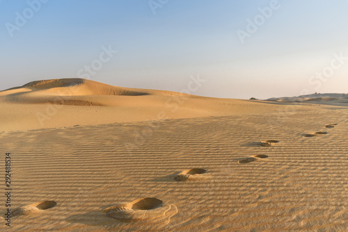 Sand dunes in Thar desert. Jaisalmer. India