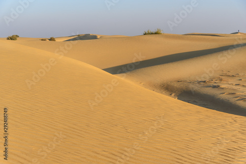 Sand dunes in Thar desert. Jaisalmer. India