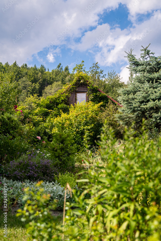 Fairytale like house in the middle of the forest with rich garden and colorfull grown walls