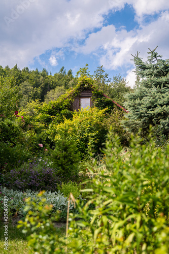 Fairytale like house in the middle of the forest with rich garden and colorfull grown walls
