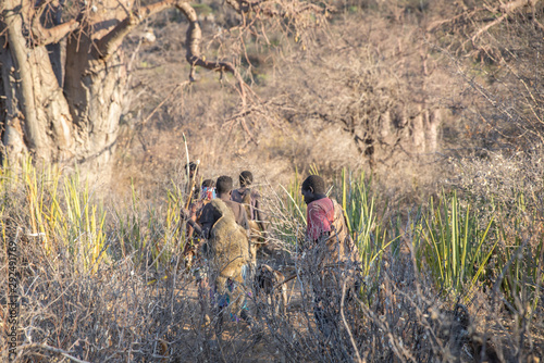 hadzabe man with his bow and arrow going for a hunt photo