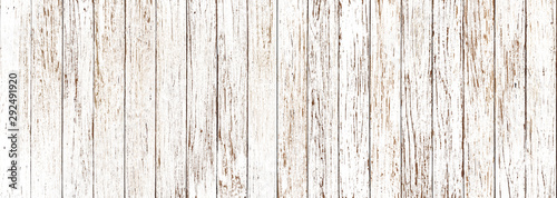 white wood texture background coming from natural tree. Wooden panel with beautiful patterns. Space for your work. © Ton Photographer4289