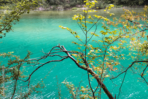 Fototapeta Naklejka Na Ścianę i Meble -  beautiful scenic landscape view on river soca in slovenia