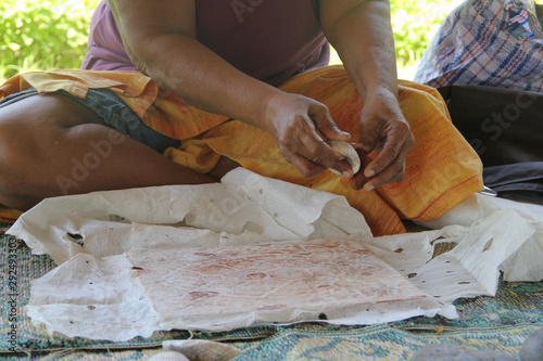 Siapo is uses for clothing, burial shrouds, bed covers, ceremonial garments and much more. A woman demostrate the making of siapo from extracting the bark, till drying and painting on it. photo