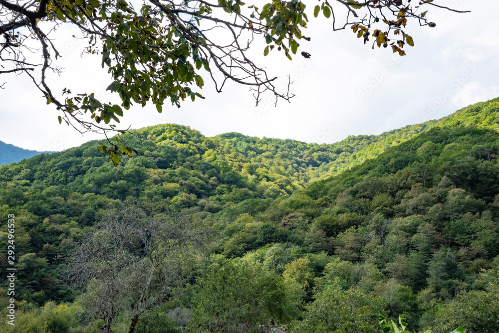 Mountains and forests of Abkhazia. Mountains and forests of Abkhazia.