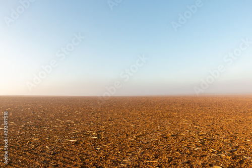 view field dawn morning spiders web webs