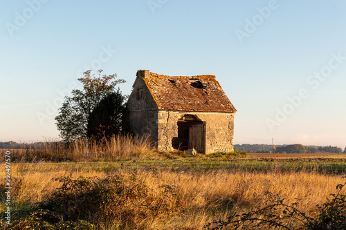 old ruin house abandonned sunset view field photo