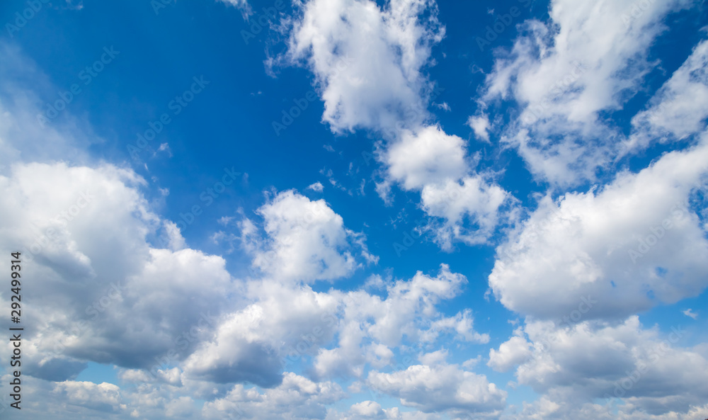 Fototapeta premium 青空の素材