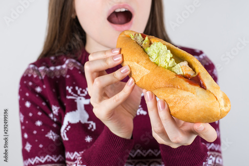 So yummy mouth watering meal dish concept. Cropped close up photo of satisfied delightful teenager start eating trying to bite large long sandwich isolated grey background