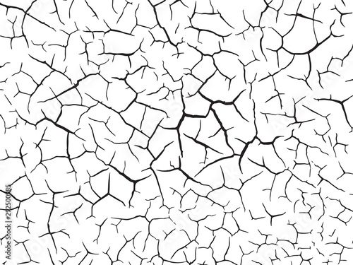 The cracks texture white and black. Vector background.Cracked earth. Structure of cracking. Cracks in dry surface soil texture. shards