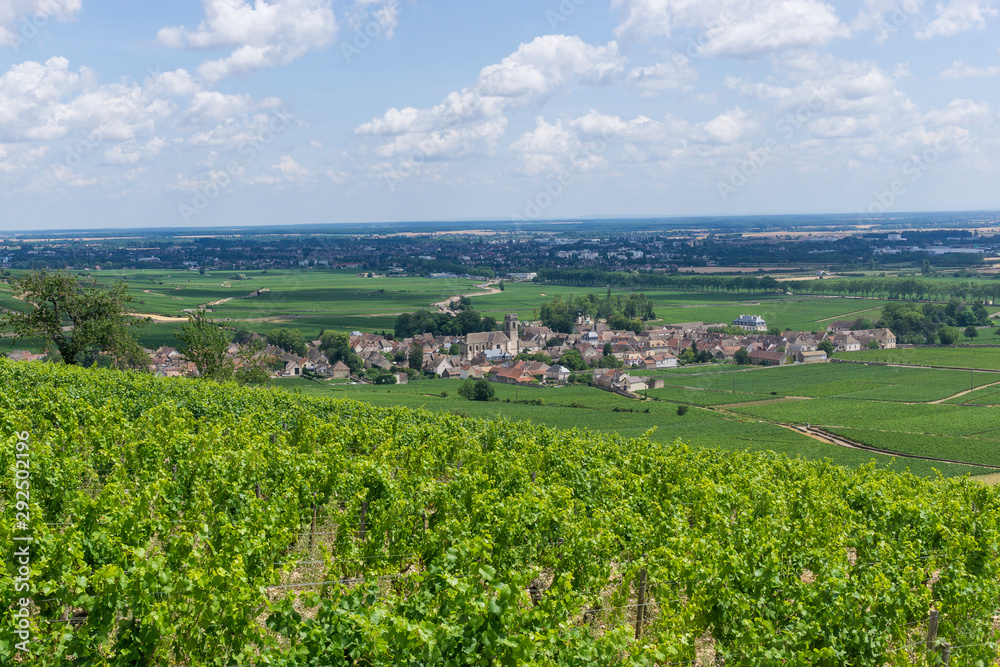 View of Pommard and Beaune lost in the vineyard in Burgundy (Bourgogne) home of pinot noir and chardonnay