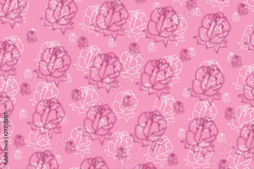 white flower Rose pattern background, illustration.