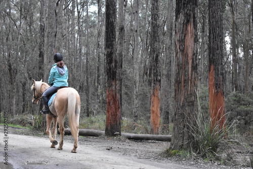 girl on horse in forest
