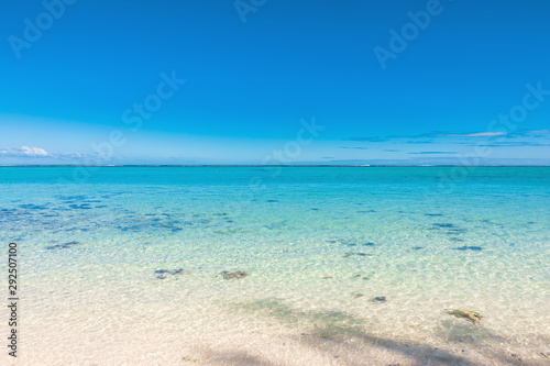 Tropical scenery - beach with transparent ocean and blue sky of Mauritius © artifirsov
