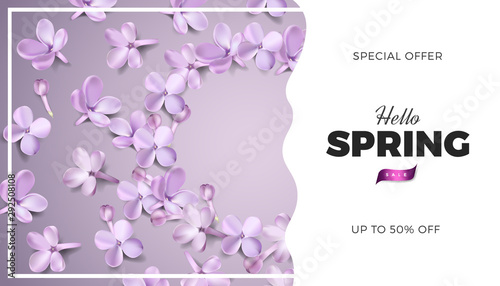 Soft pastel color floral banner background. Purple lilac flowers and petals vector illustration, website template or print card romantic design