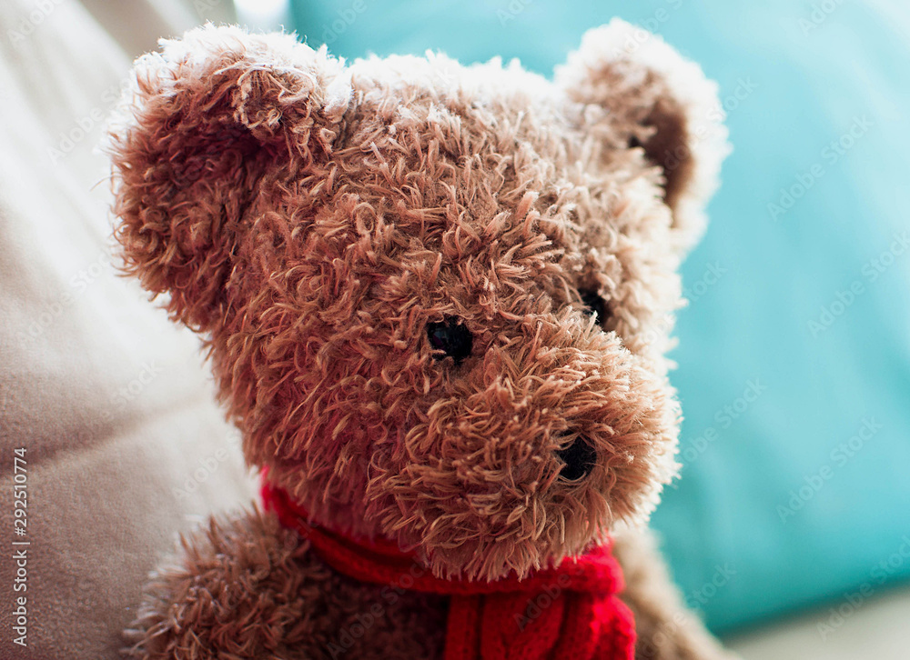 Teddy bear looks thoughtful and curious Stock Photo | Adobe Stock