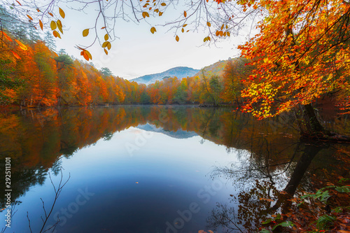 Autumn time. Colorful tree leaves, yellow, orange, red. Gorgeous view. Yedigoller National Park. Istanbul, Bolu, Turkey.