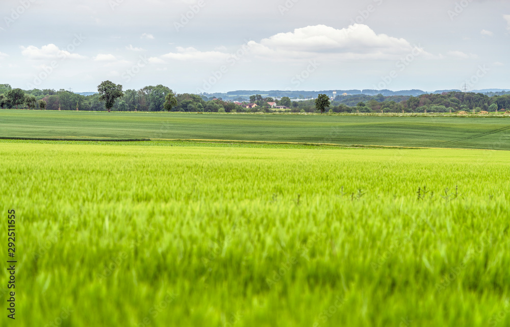 Obraz premium rural scenery in Hohenlohe