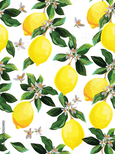 Seamless citrus vector pattern. Exotic background. Hand drawn illustration with lemons. Tropical fruit wallpaper.