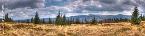 Fototapeta Naklejka Na Ścianę i Meble -  Gorce - Carpathians Mountains 