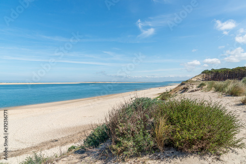 BASSIN D ARCACHON  France   banc d Arguin  dune du Pilat et plage du Petit Nice