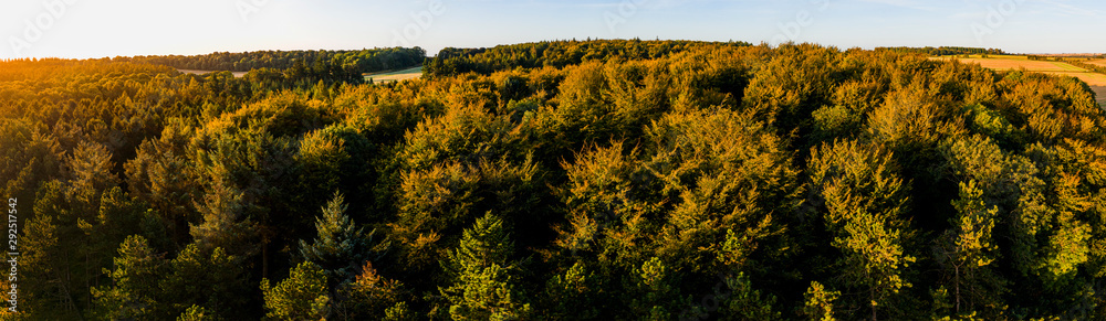 Autumn / fall forest at sunrise shot from the air in the English countryside panoramic Autumn / fall forest at sunrise shot from the air in the English countryside panoramic