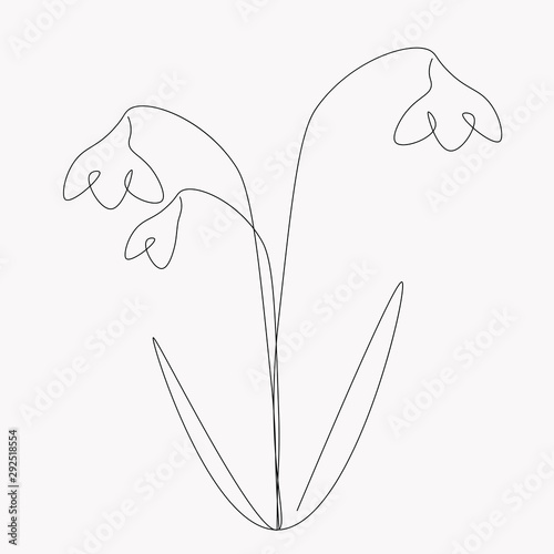 Snowdrop flowers silhouette vector illustration