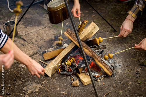 process of cooking mushrooms on bonfire, close up cropped photo. tssty food for travellers. photo