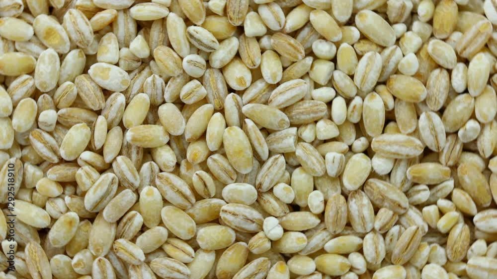 panning Heap of dry pearl barley panning Heap of dry pearl barley