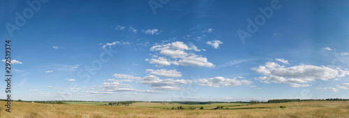 Panorama of summer fields