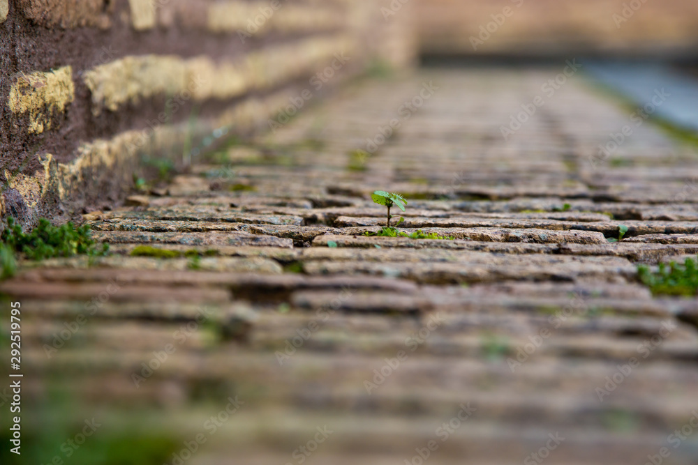 Ancient brickwork in the Castle of St. angel. Selective focus. Close up. Rome, Italy