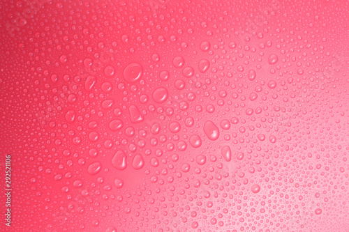 Close up water drops on pink background  Water drop in macro photography