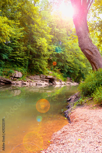 A Creek in the colorful seasonal forest with sun flares in Bowling Green, Kentucky USA