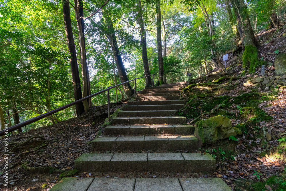 山道 山道