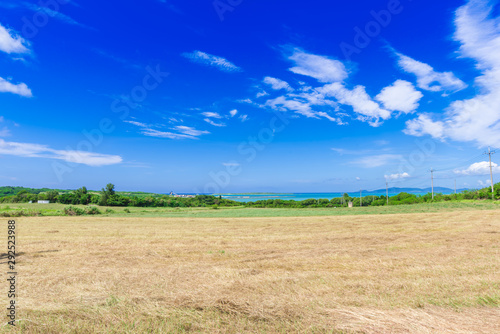 小浜島の風景