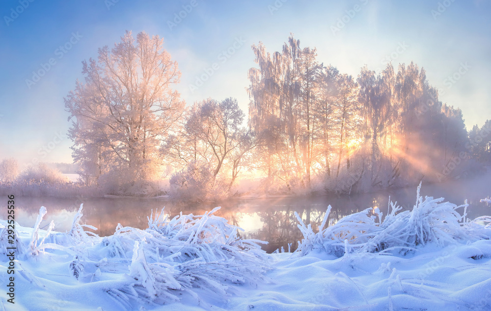 Plakat Winter nature landscape. Frosty trees on river side. Winter morning sunrise. Amazing plants covered by hoarfrost